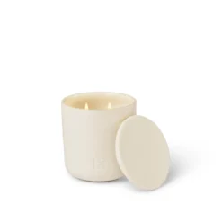 Alchemy White Tea & Wild Mint 300g Candle