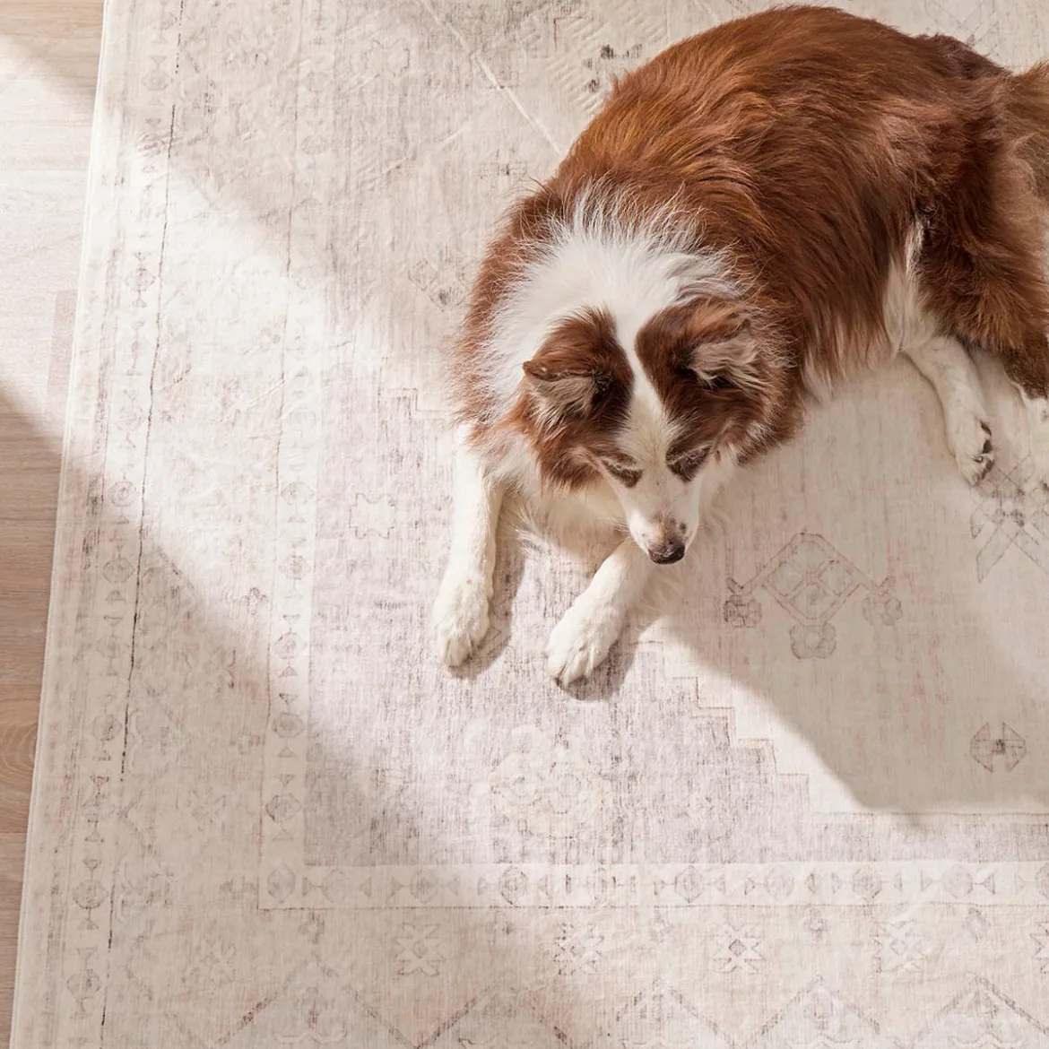 Amina Washable Floor Rug