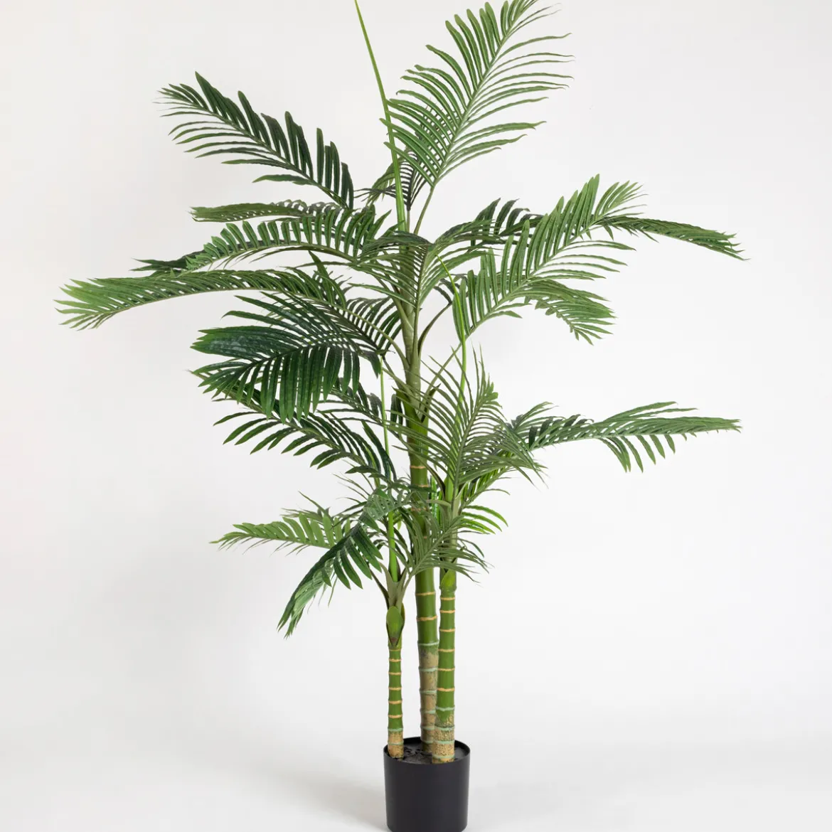 Artificial Bangalow Palm