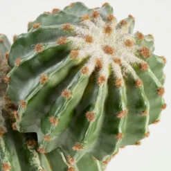 Artificial Barrel Cactus