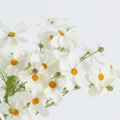 Artificial Cosmos Flower Spray