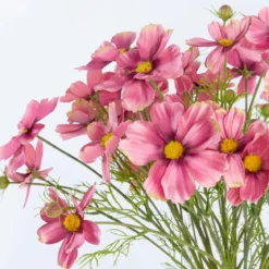 Artificial Cosmos Flower Spray