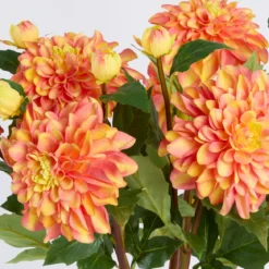 Artificial Dahlia Flower Stem