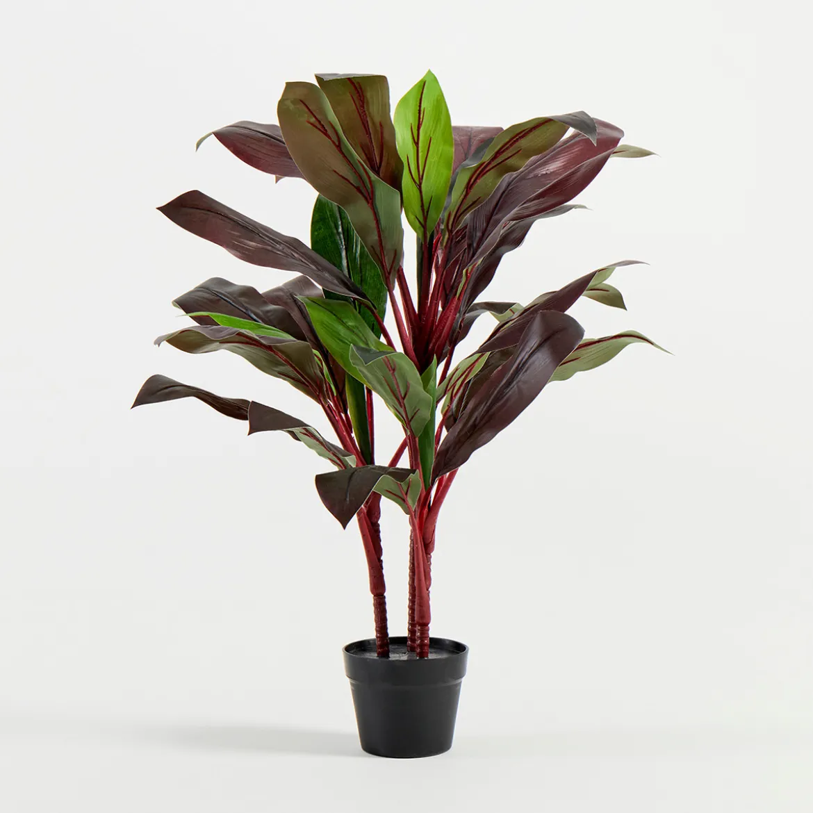 Artificial Dark Cordyline Plant