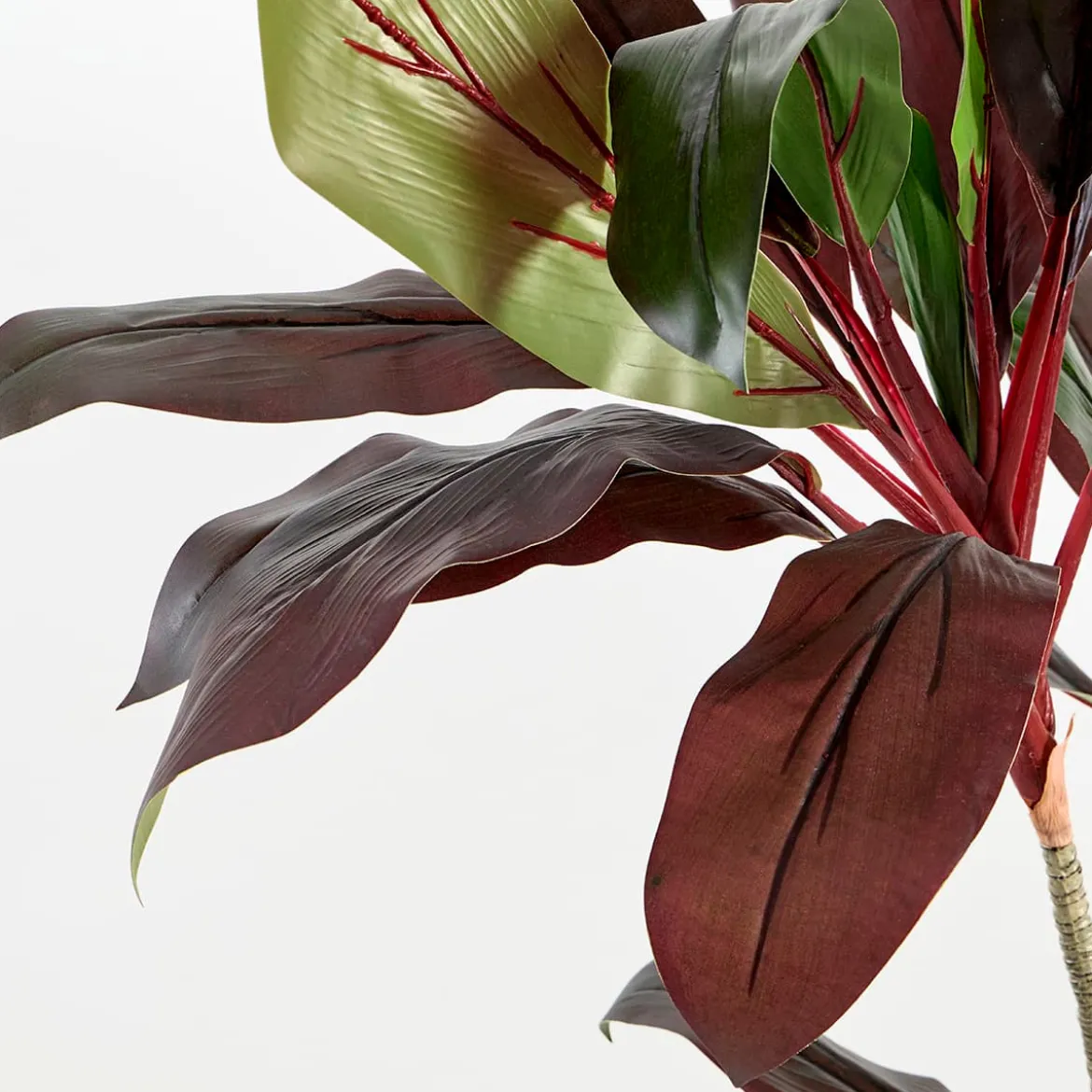 Artificial Dark Cordyline Plant