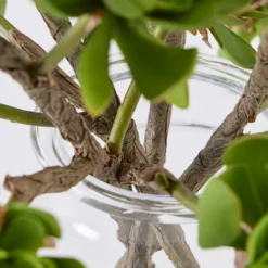 Artificial Echeveria Succulent Stem