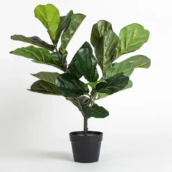 Artificial Fiddle Leaf Fig