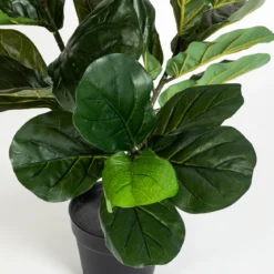 Artificial Fiddle Leaf Fig