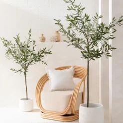 Artificial Fruitless Olive Tree