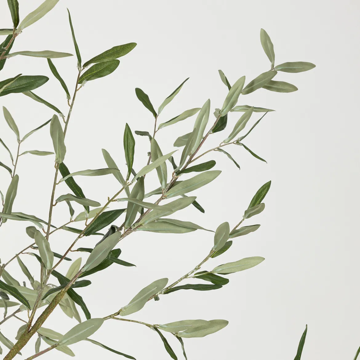 Artificial Fruitless Olive Tree