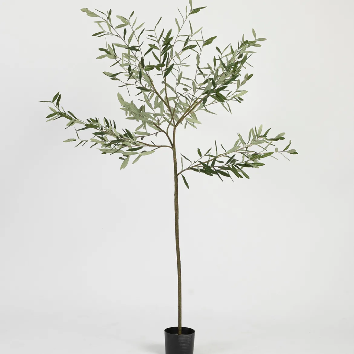 Artificial Fruitless Olive Tree