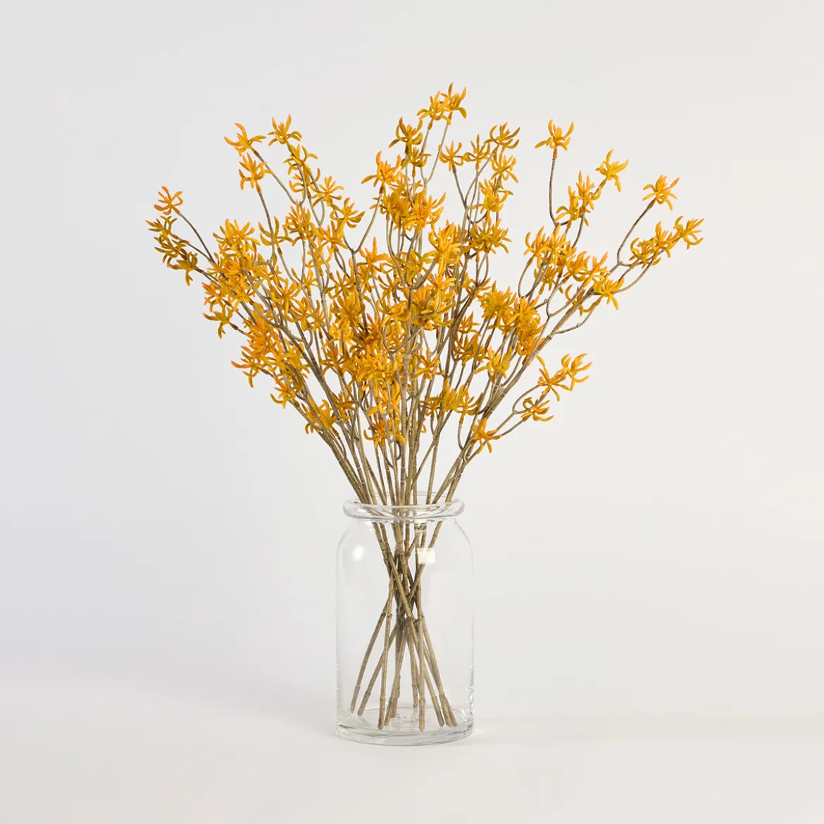 Artificial Kangaroo Paw Stem