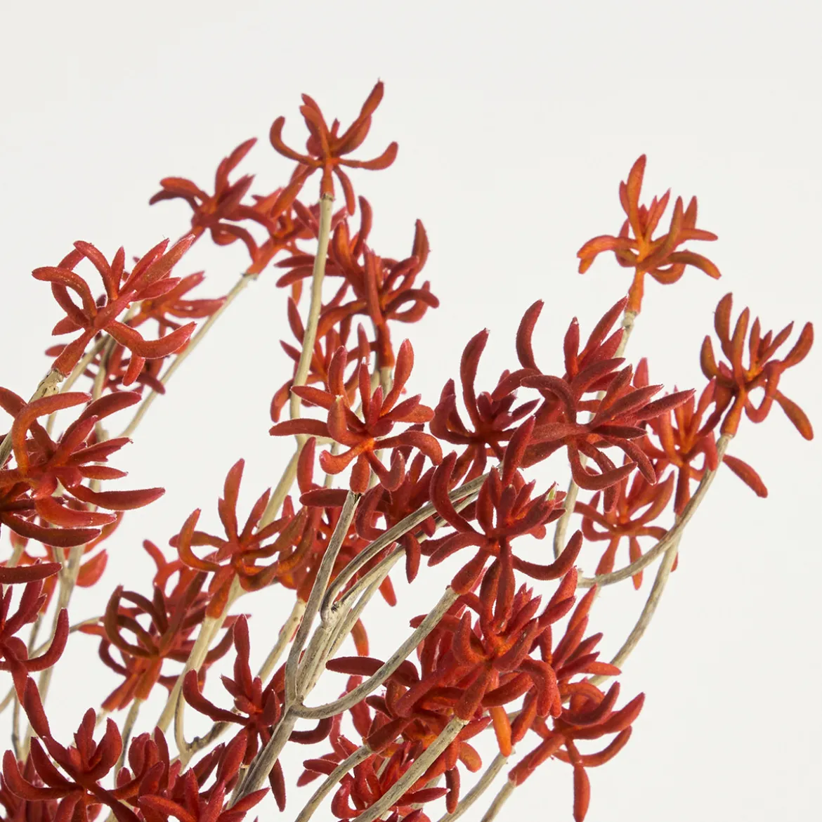 Artificial Kangaroo Paw Stem