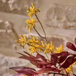 Artificial Kangaroo Paw Stem