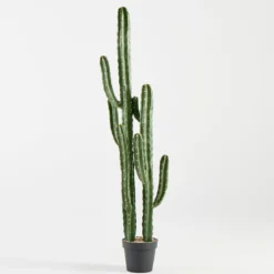 Artificial Mexican Cactus