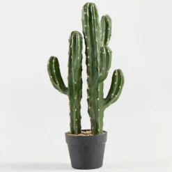 Artificial Mexican Cactus