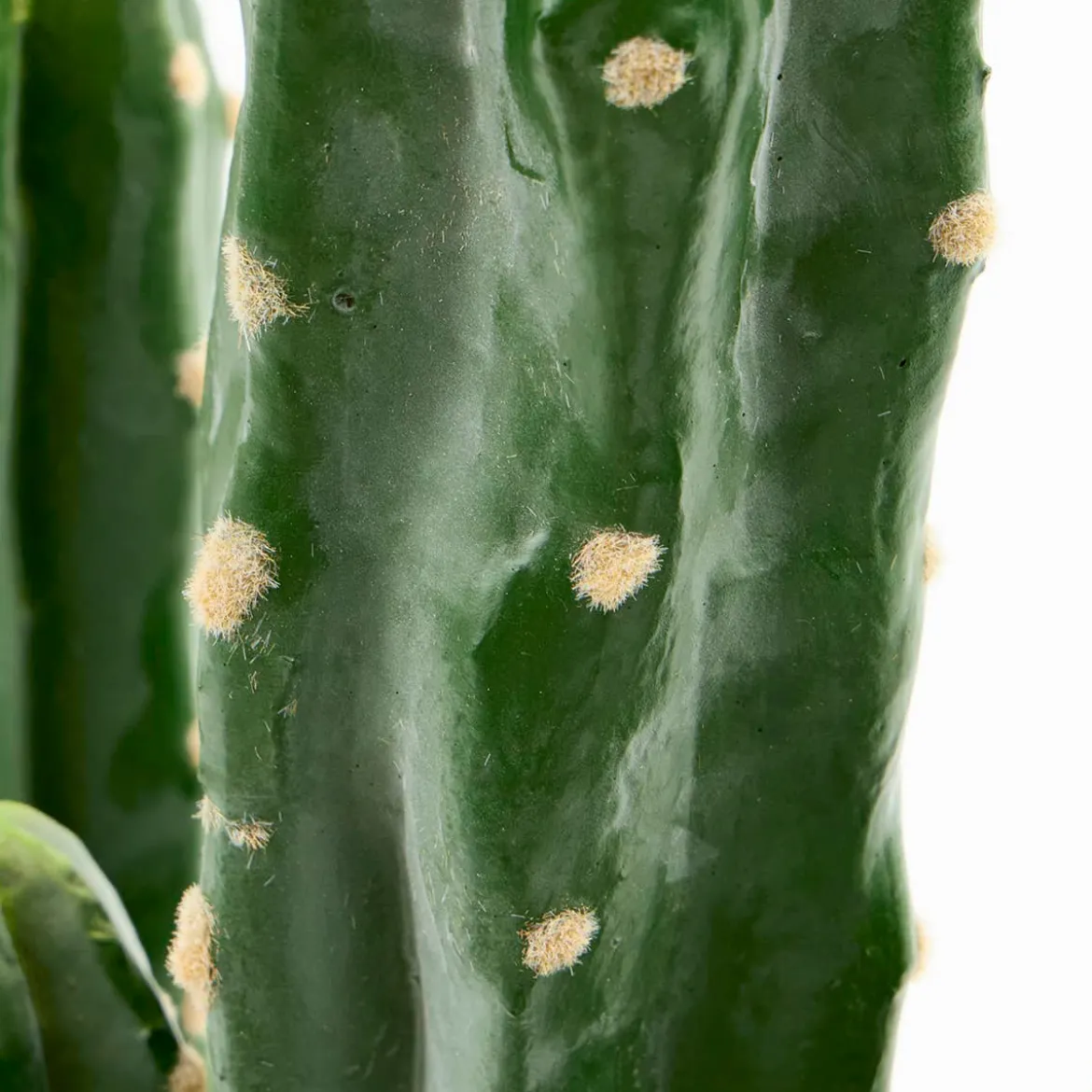 Artificial Mexican Cactus