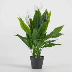 Artificial Mini Peace Lily Plant