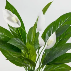 Artificial Mini Peace Lily Plant