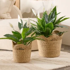 Artificial Mini Peace Lily Plant