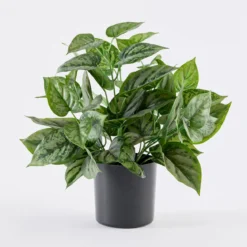 Artificial Mini Pothos Dark Green Plant