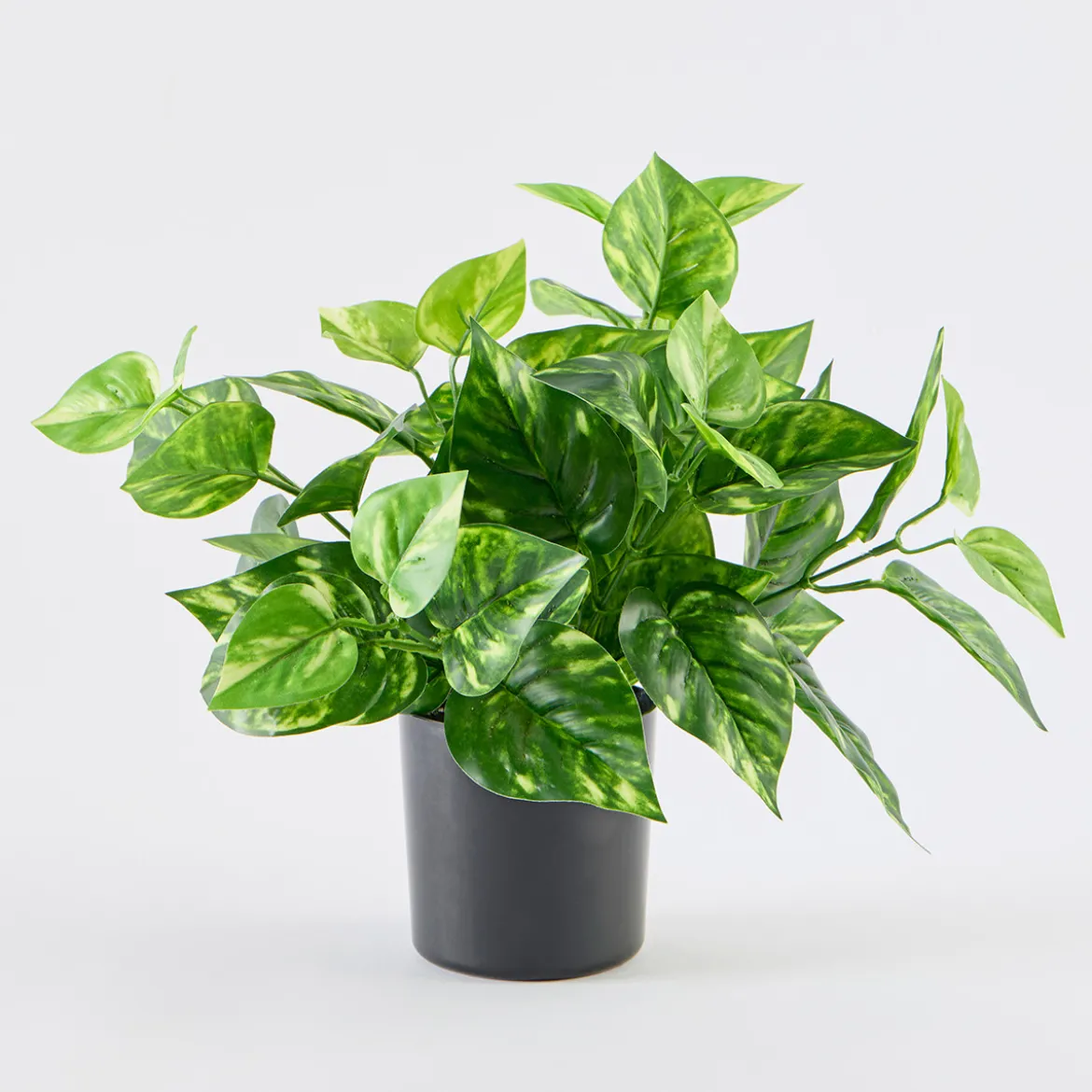 Artificial Mini Pothos Light Green Plant