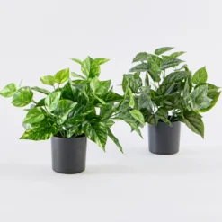 Artificial Mini Pothos Light Green Plant