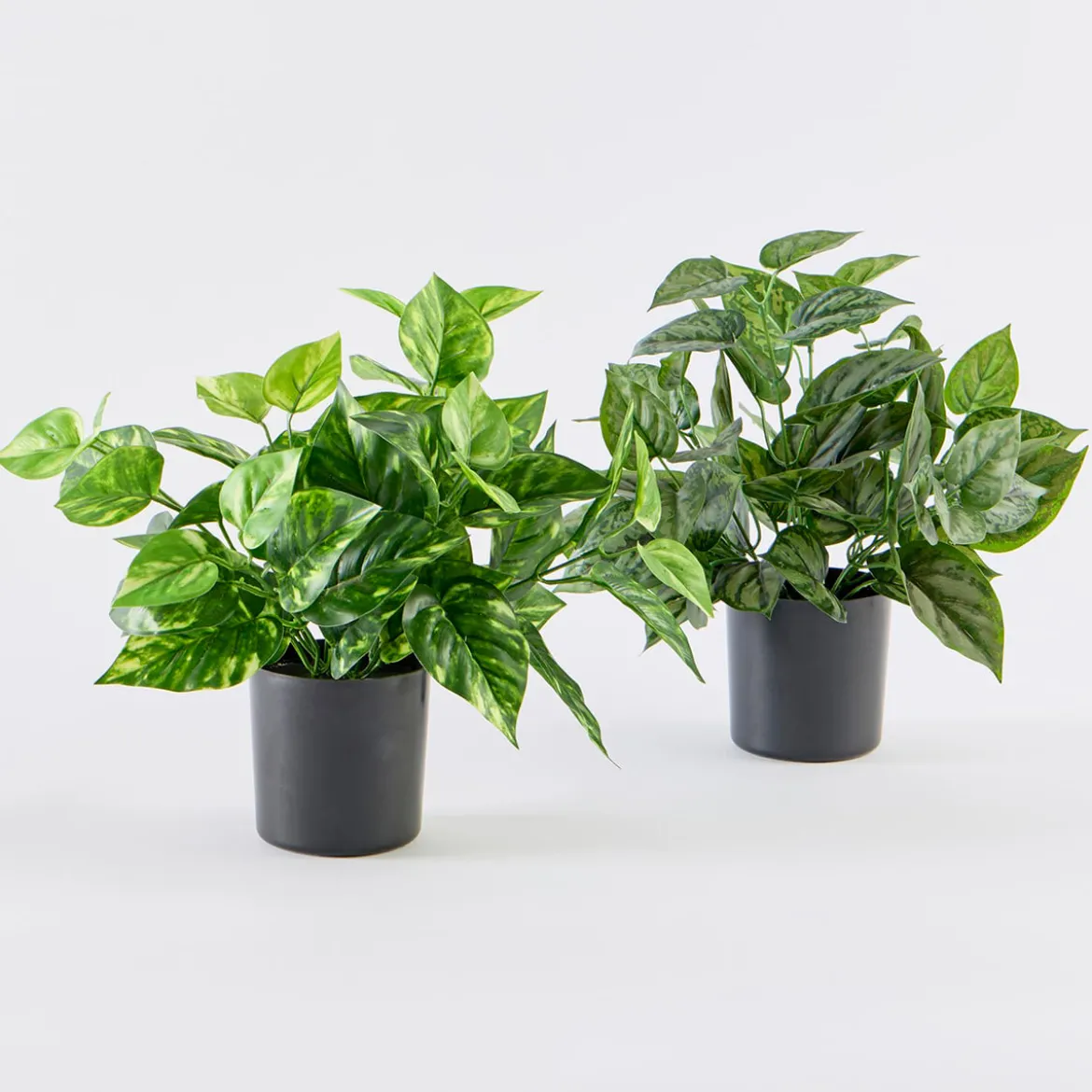 Artificial Mini Pothos Light Green Plant
