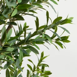 Artificial Olive Grove Tree