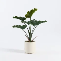 Artificial Potted Fan Palm