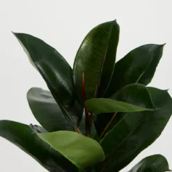 Artificial Rubber Fig Tree