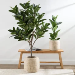 Artificial Rubber Fig Tree