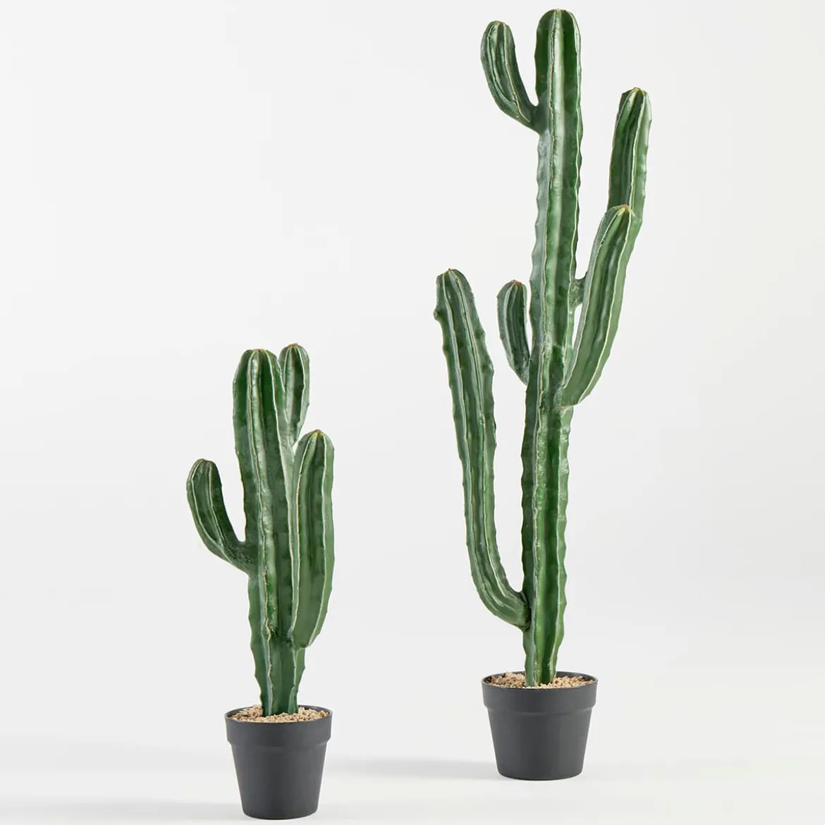 Artificial San Pedro Cactus