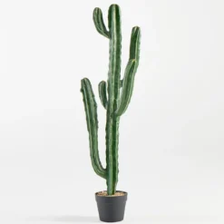 Artificial San Pedro Cactus