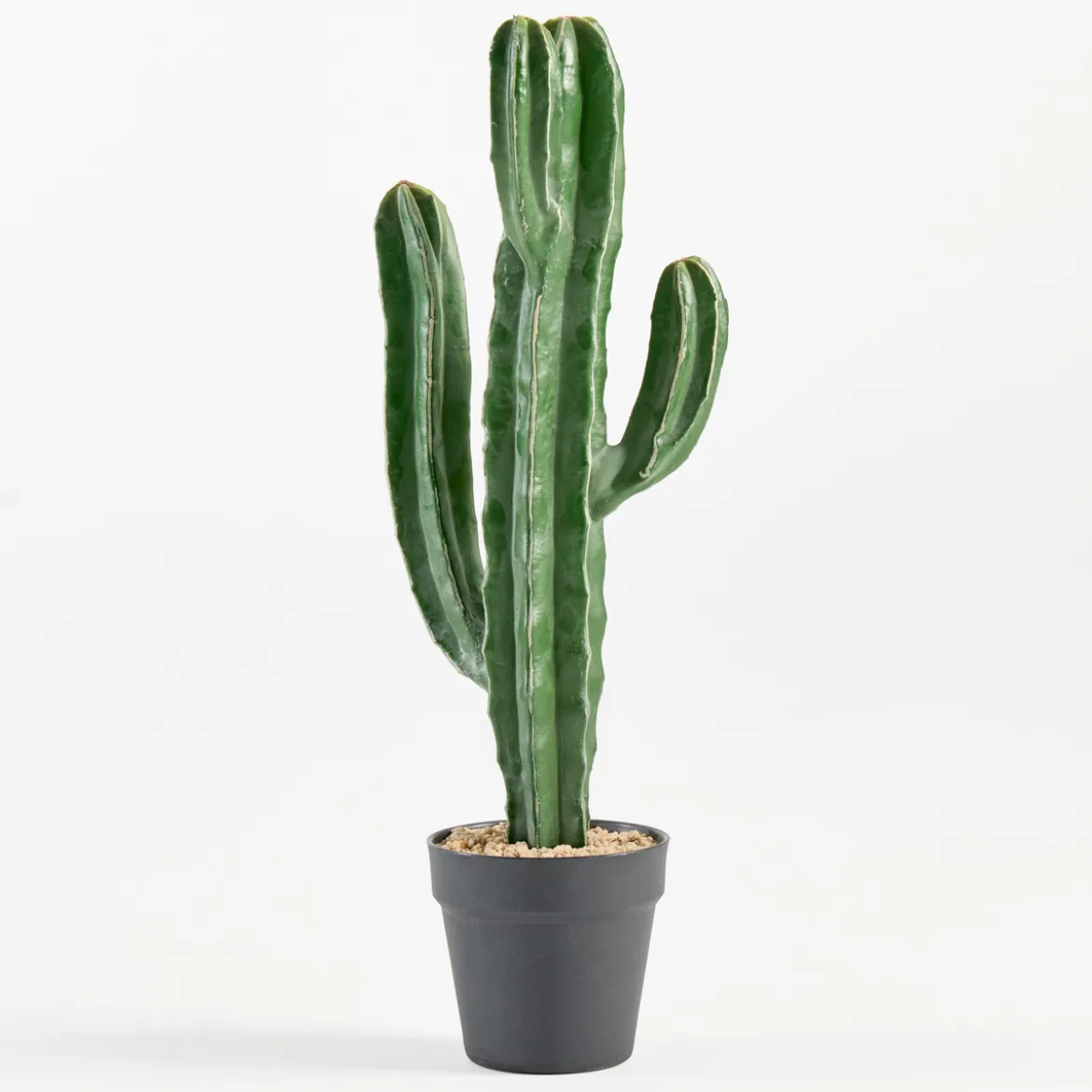 Artificial San Pedro Cactus