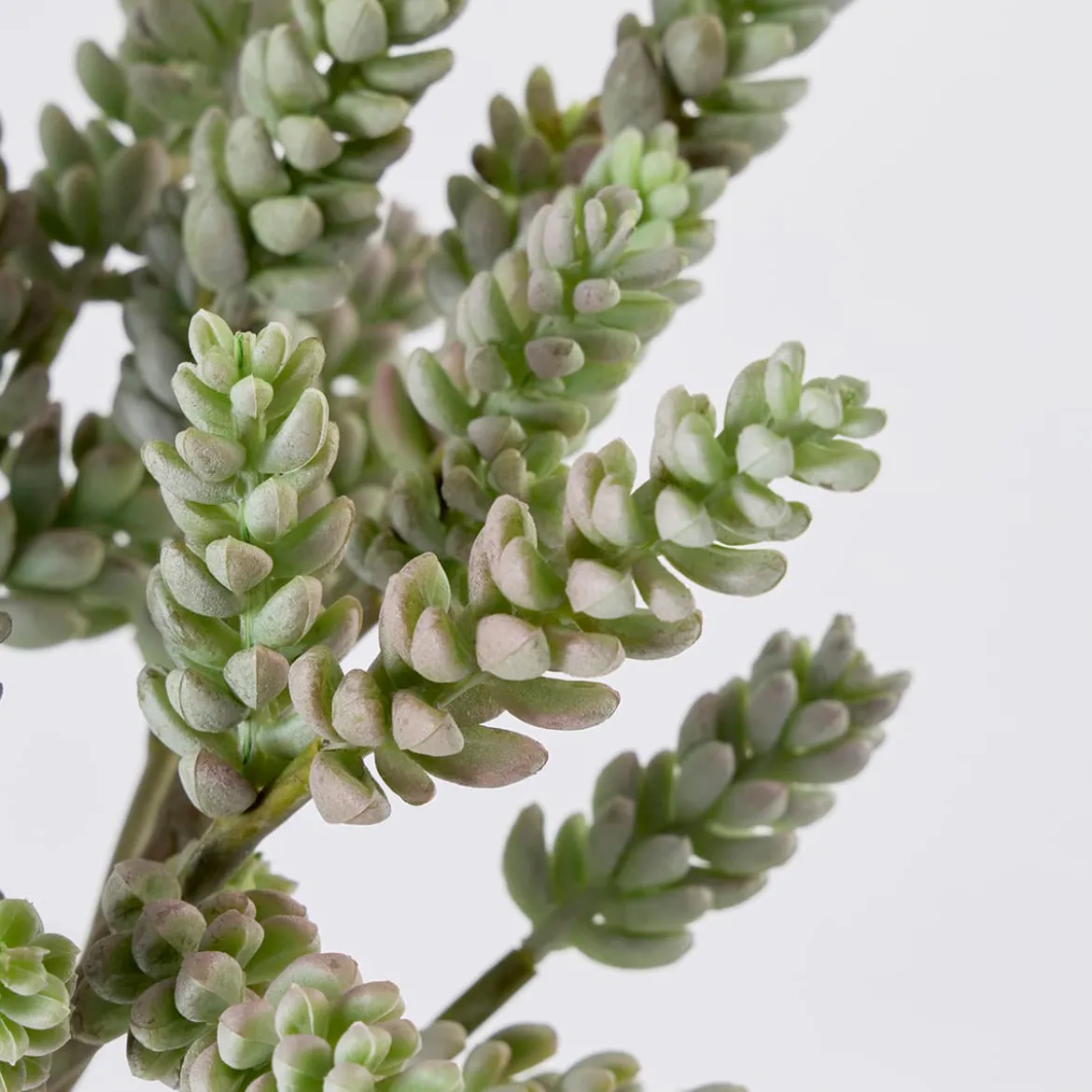 Artificial Sedum Burrito Succulent Stem
