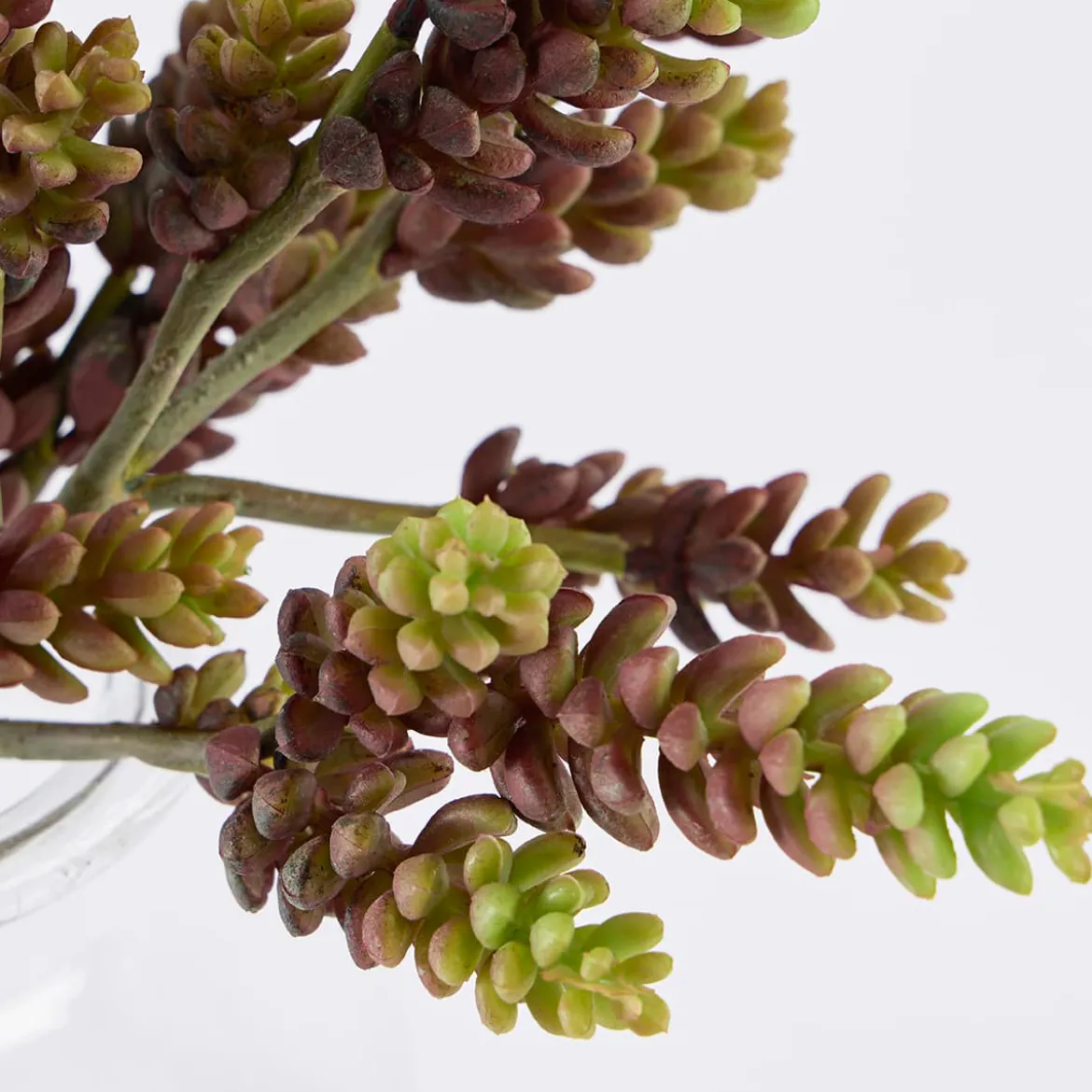 Artificial Sedum Burrito Succulent Stem
