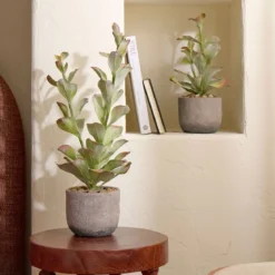 Ashby Artificial Potted Succulent