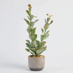 Ashby Artificial Potted Succulent