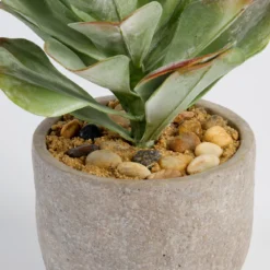 Ashby Artificial Potted Succulent