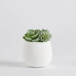 Avalon Garden Artificial Potted Succulent