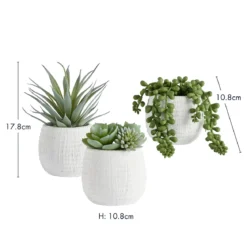 Avalon Garden Artificial Potted Succulent
