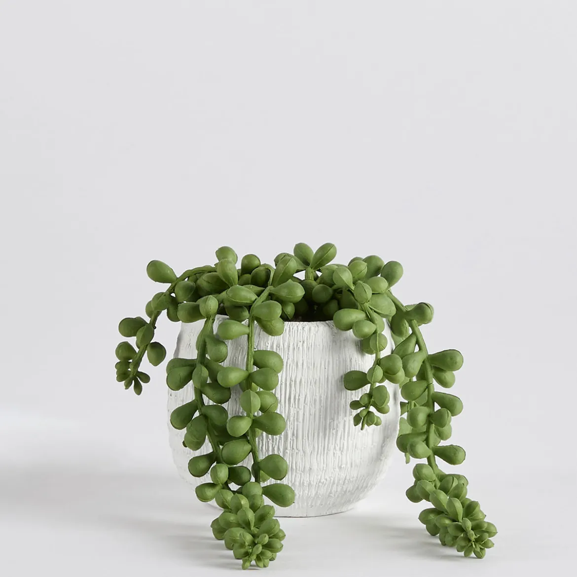 Avalon Jelly Bean Artificial Potted Succulent