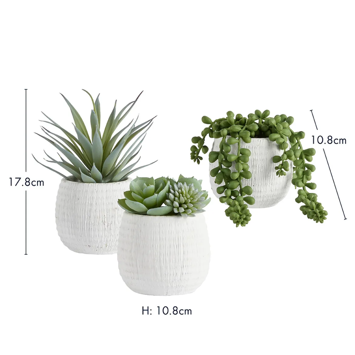 Avalon Jelly Bean Artificial Potted Succulent