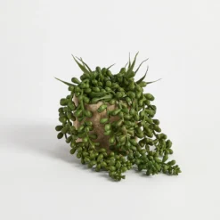 Bartel Jelly Bean Artificial Potted Succulent