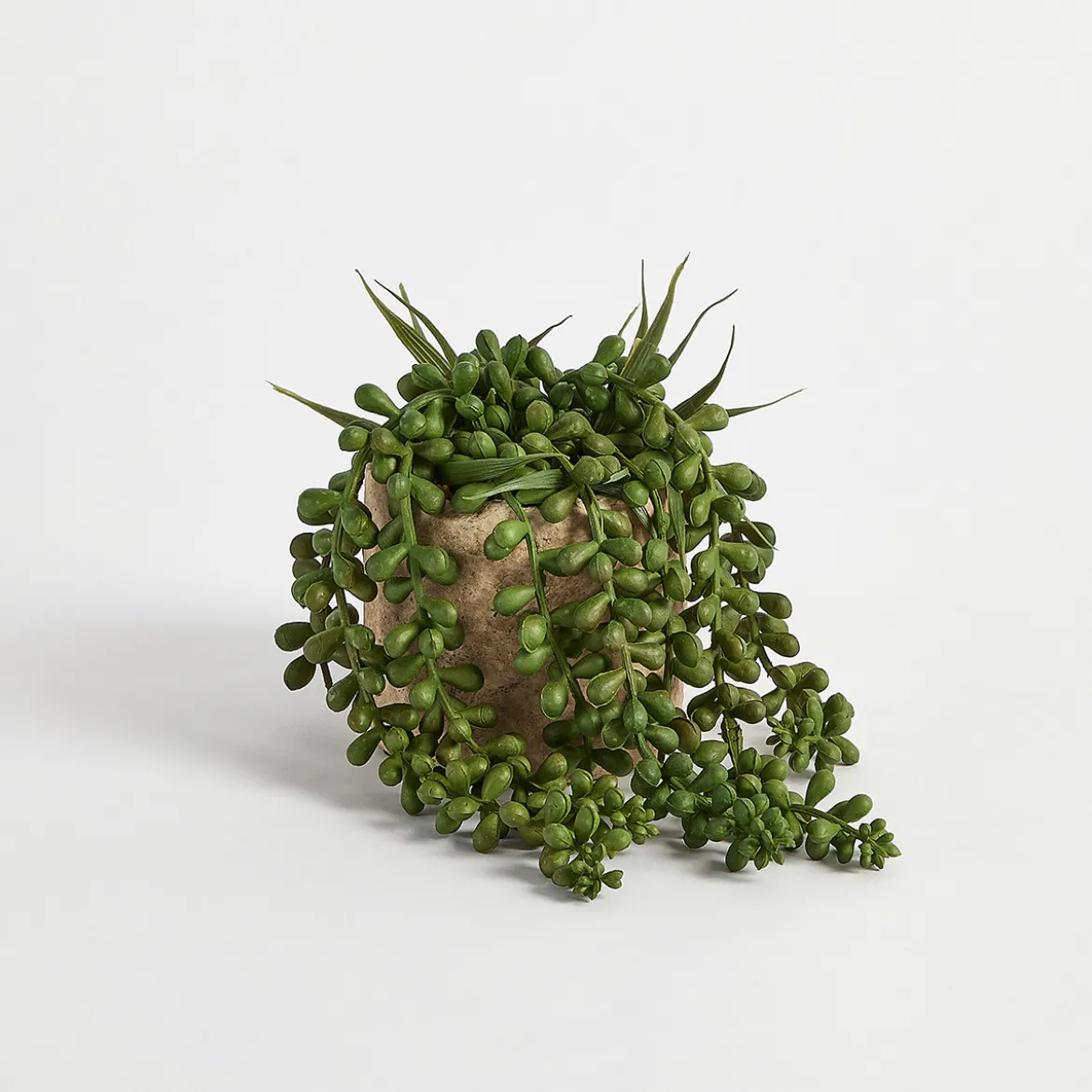 Bartel Jelly Bean Artificial Potted Succulent