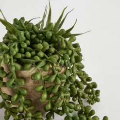 Bartel Jelly Bean Artificial Potted Succulent