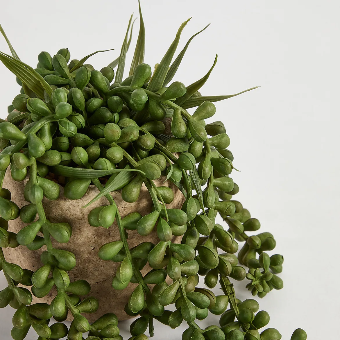 Bartel Jelly Bean Artificial Potted Succulent