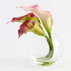 Becca Artificial Lilly in Vase