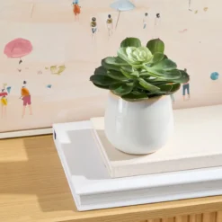 Belmont Potted Succulent
